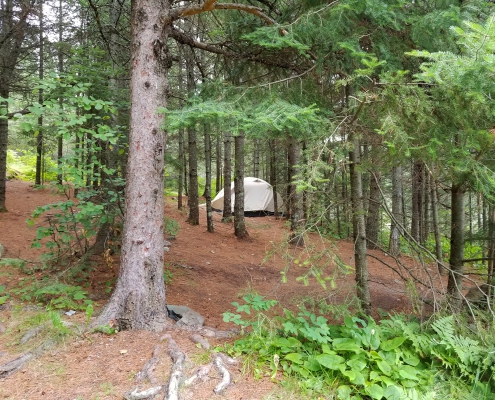 Camping in the BWCAW