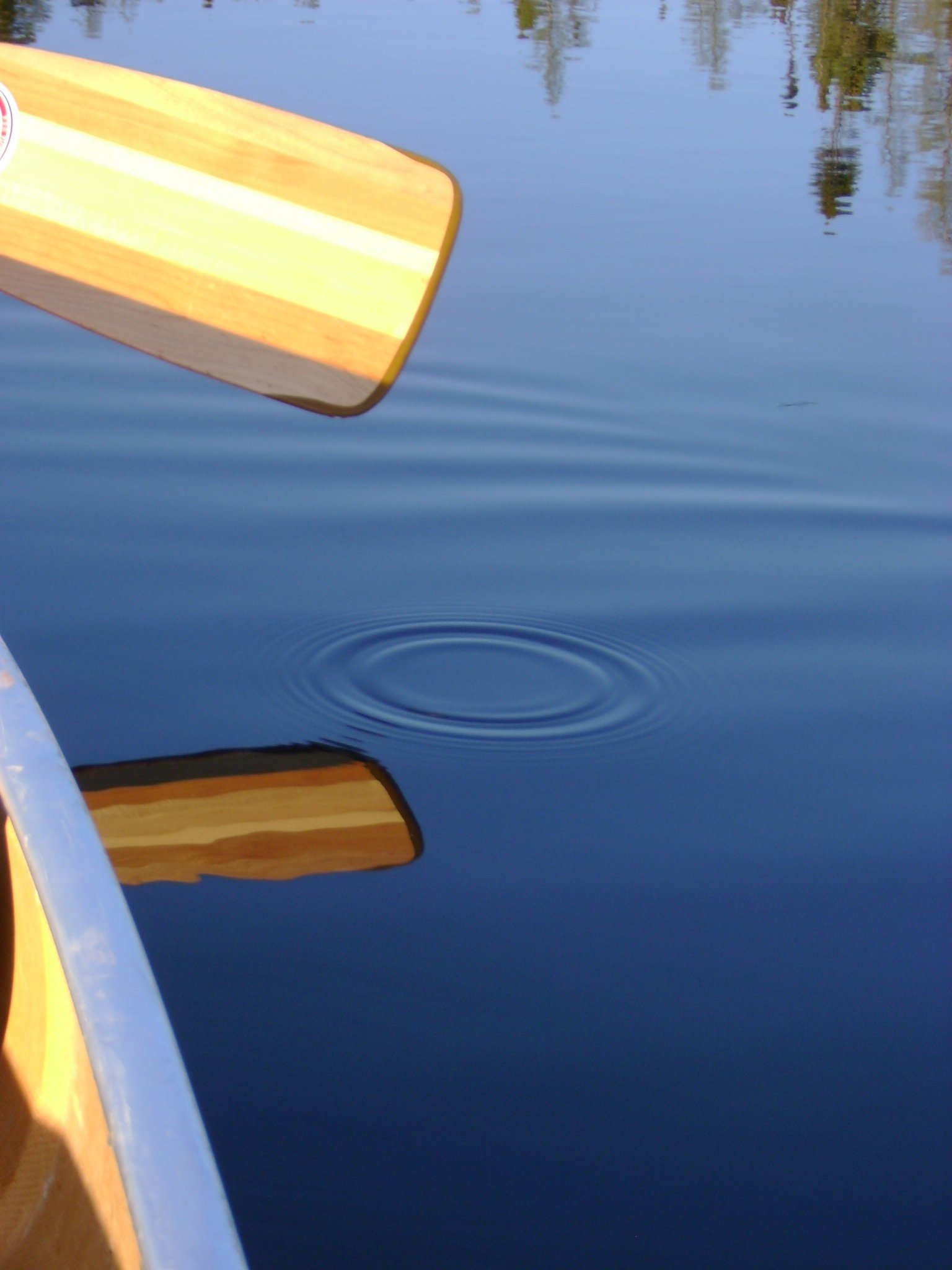 Representation in tv essay new i filmbay 71 arts52r html 07 image